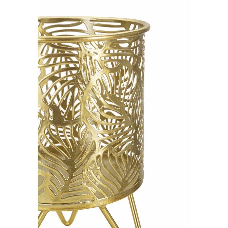 product/m/a/mauro-ferretti_1427950000_gold_3.jpg