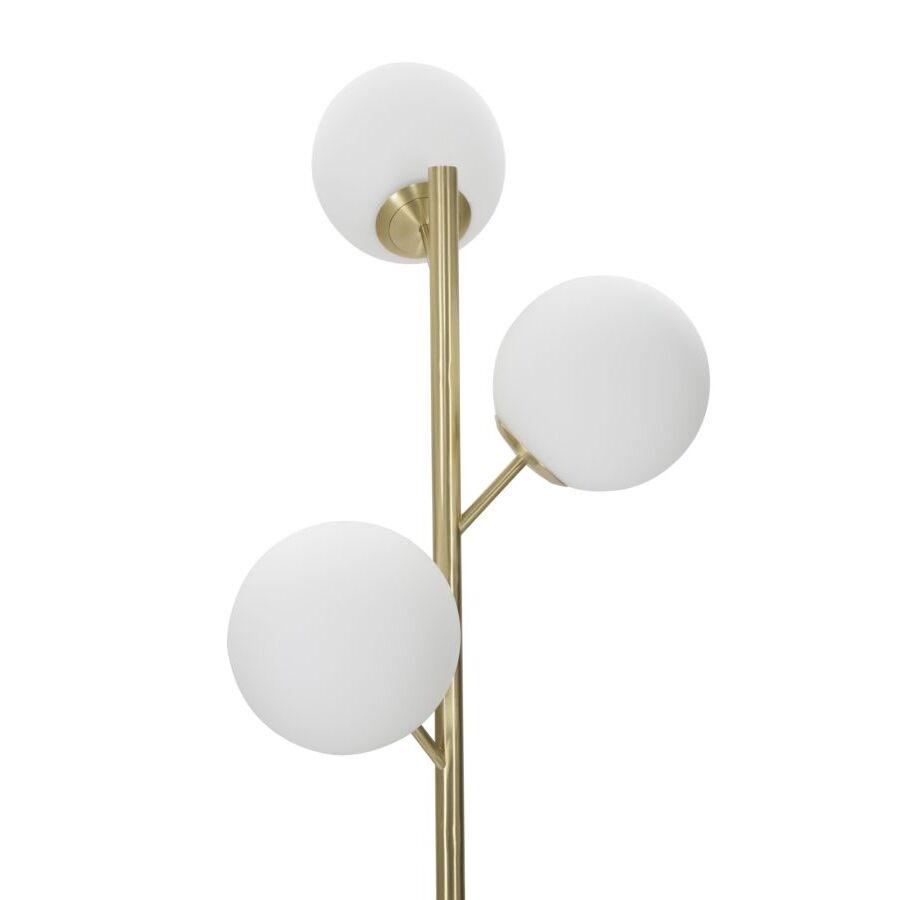 product/m/a/mauro-ferretti_1711430000_gold-white_2.jpg