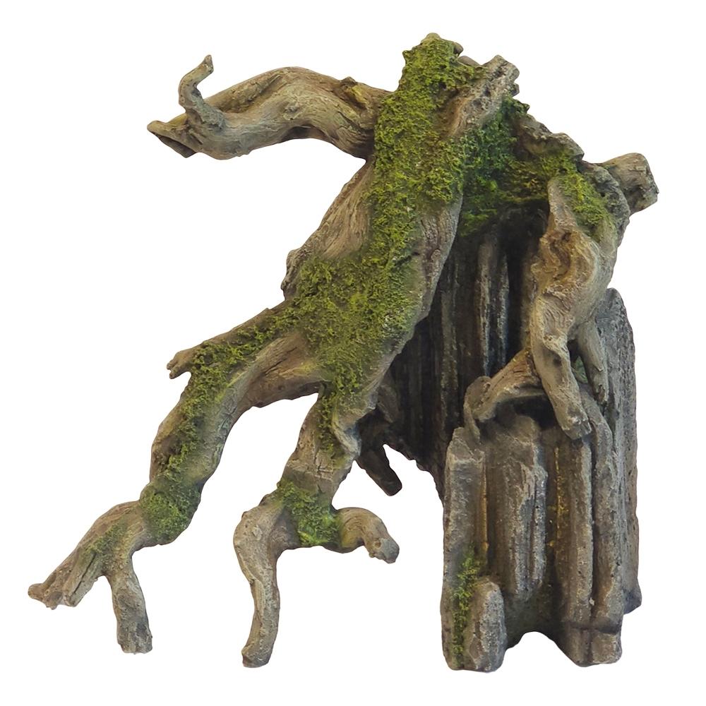 product/n/o/nobby-pet_28753_marron-vert_1.jpg