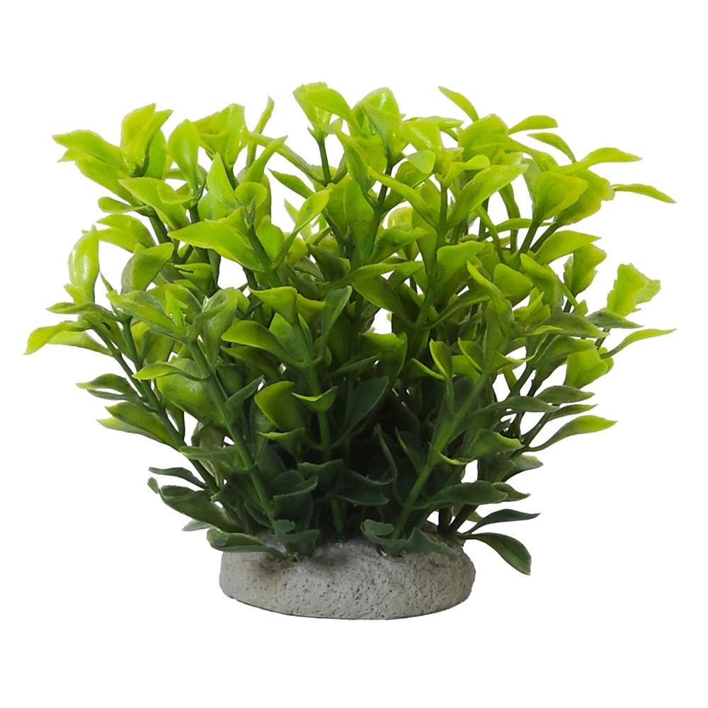 product/n/o/nobby-pet_28767_vert_1.jpg