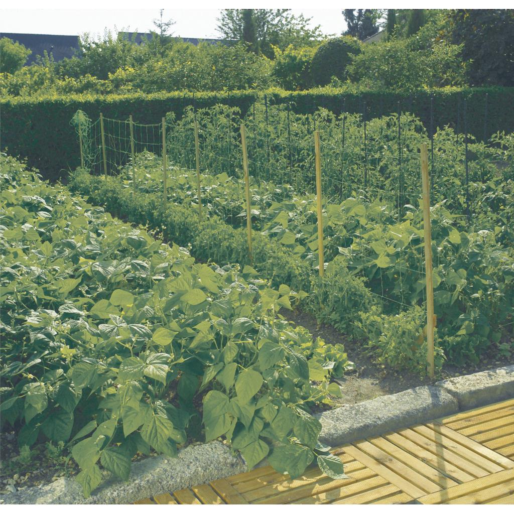 product/n/o/nortene_120225_green_1.jpg