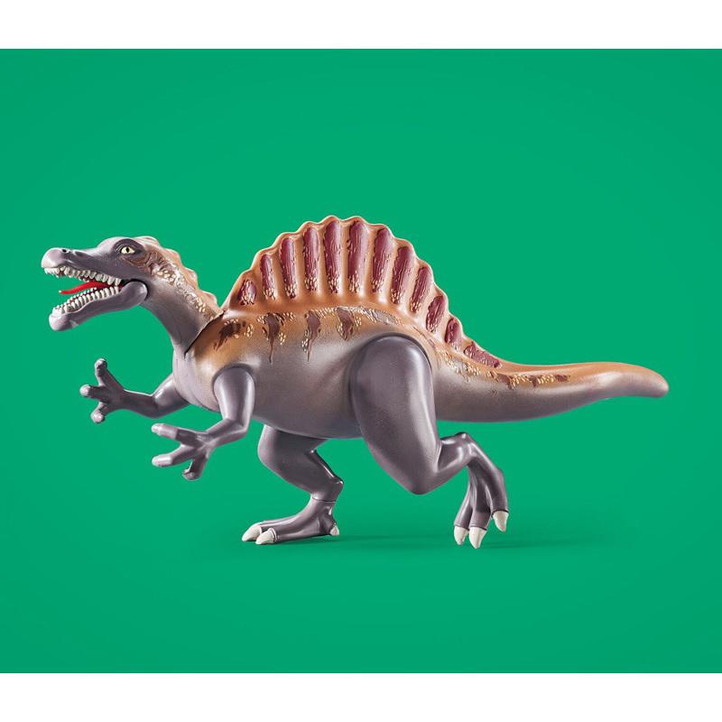 product/p/l/playmobil_a2501916_multicolore_5.jpg