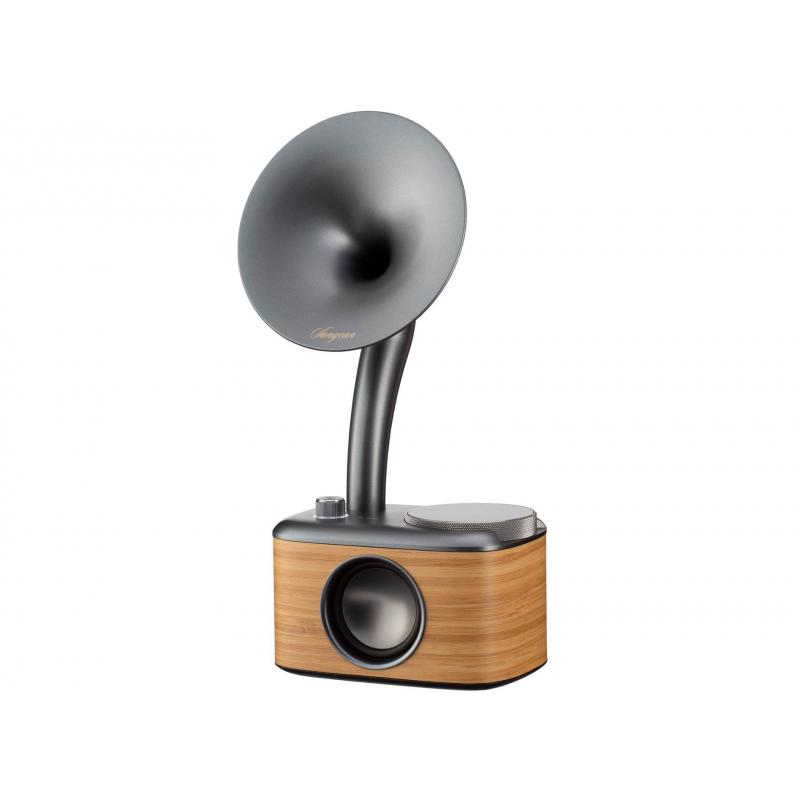 product/s/a/sangean_sg-cp100d_lg_wood_2.jpg