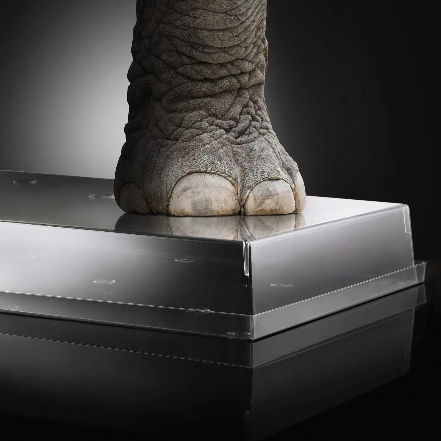 product/s/i/silikomart_25.427.86.0000_2.jpg
