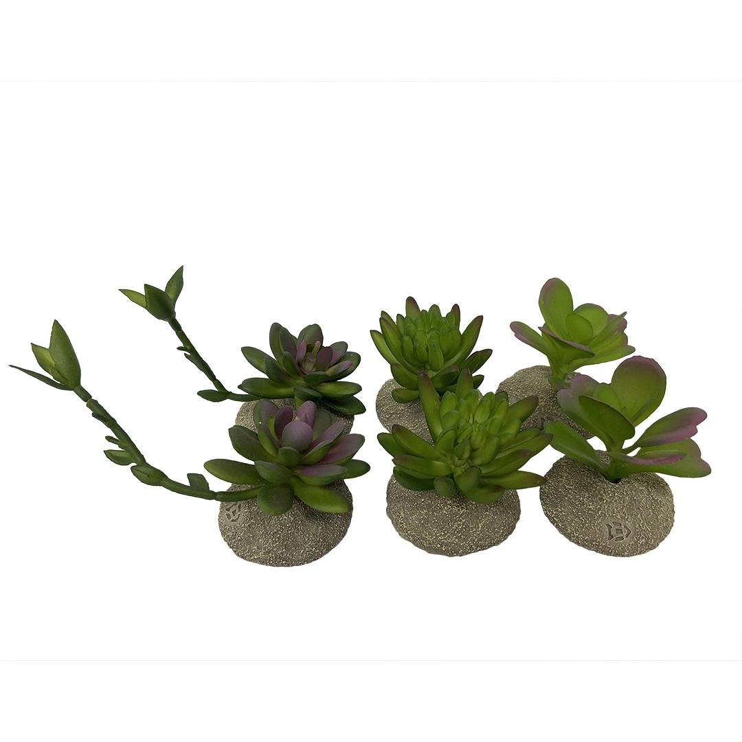 product/t/e/terra-della_242_465875_vert_1.jpg