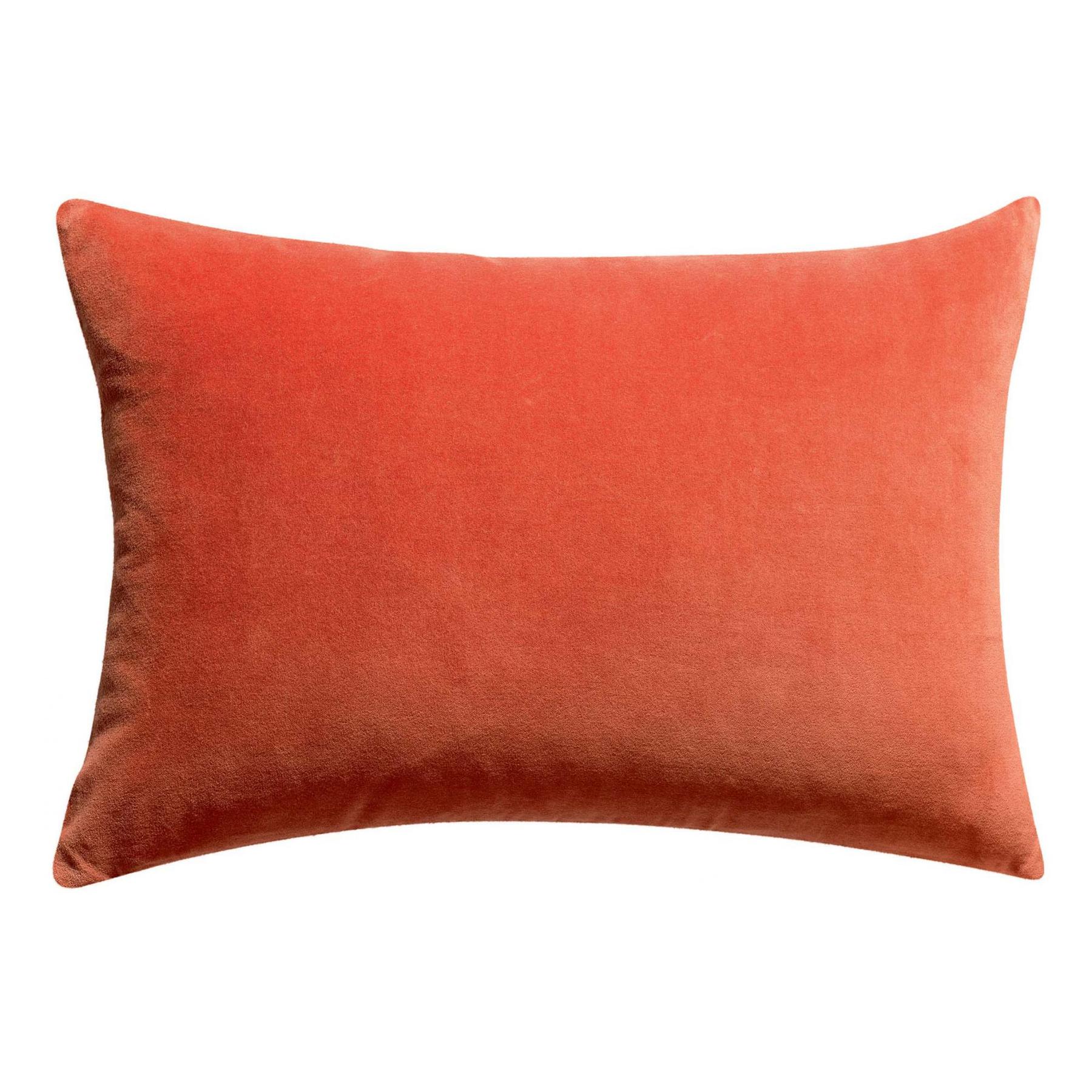 product/v/i/vivaraise_1308812000_0.jpg
