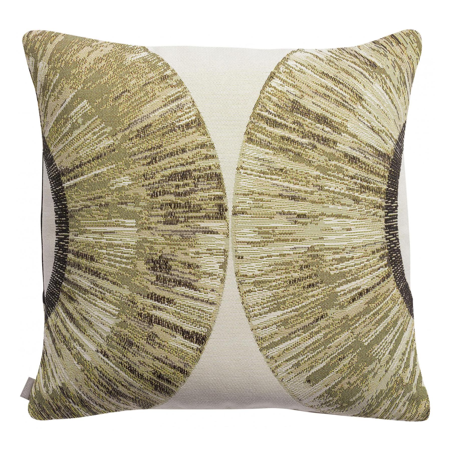 product/v/i/vivaraise_1646000000_1.jpg