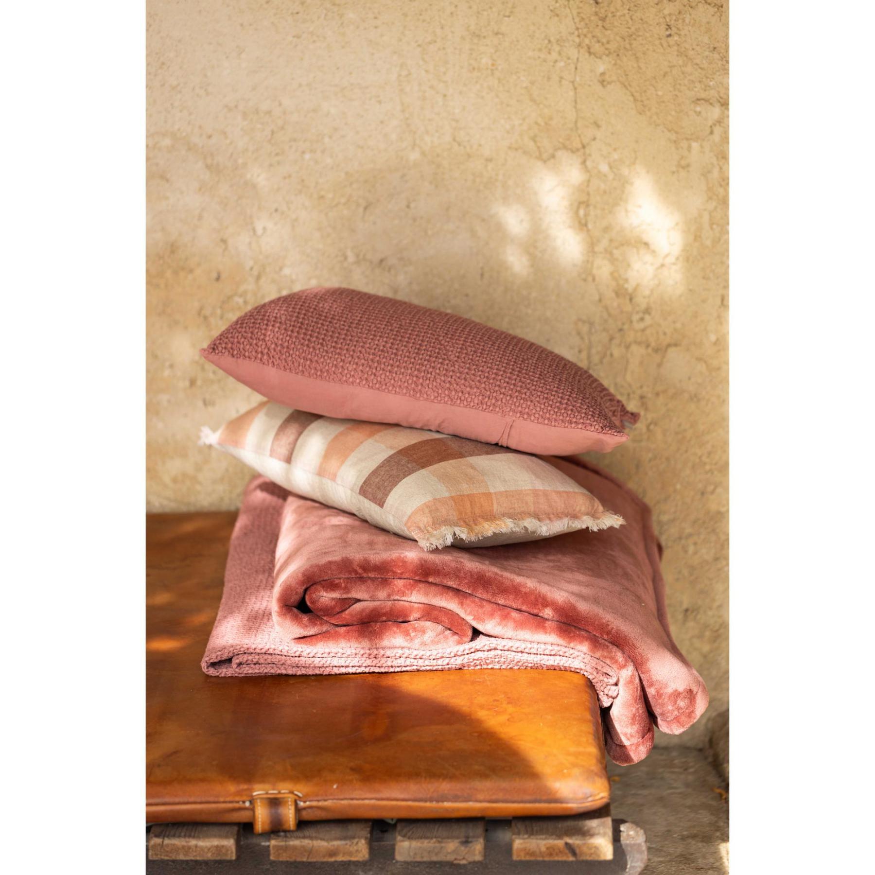product/v/i/vivaraise_1671086000_terracotta_2.jpg