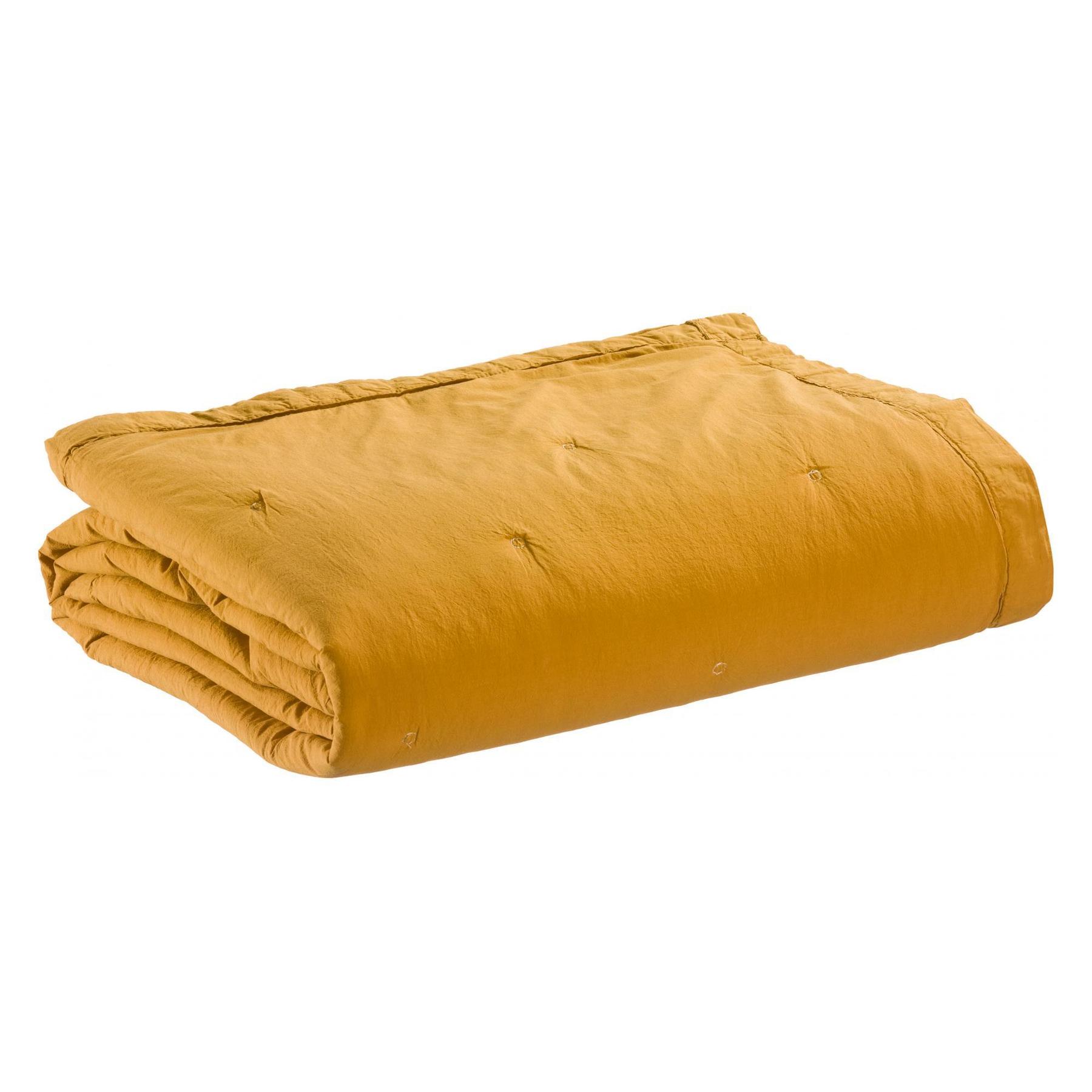 product/v/i/vivaraise_1849037000_0.jpg