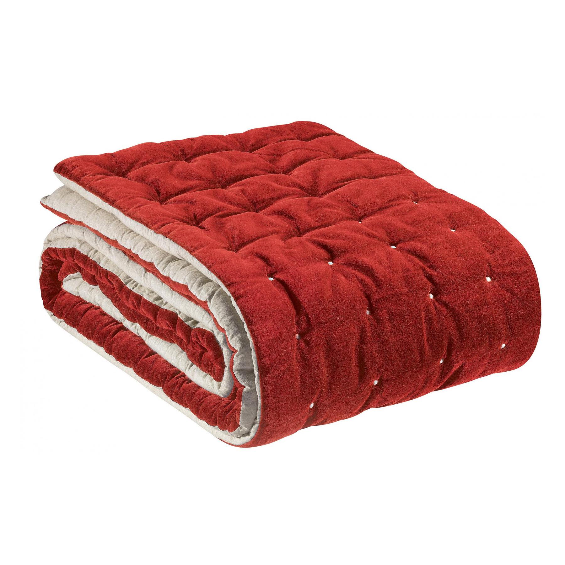 product/v/i/vivaraise_2430035000_0.jpg