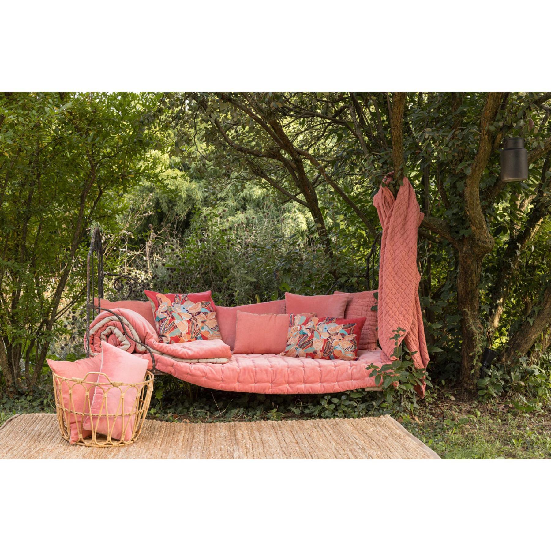 product/v/i/vivaraise_2430047000_peche_6.jpg