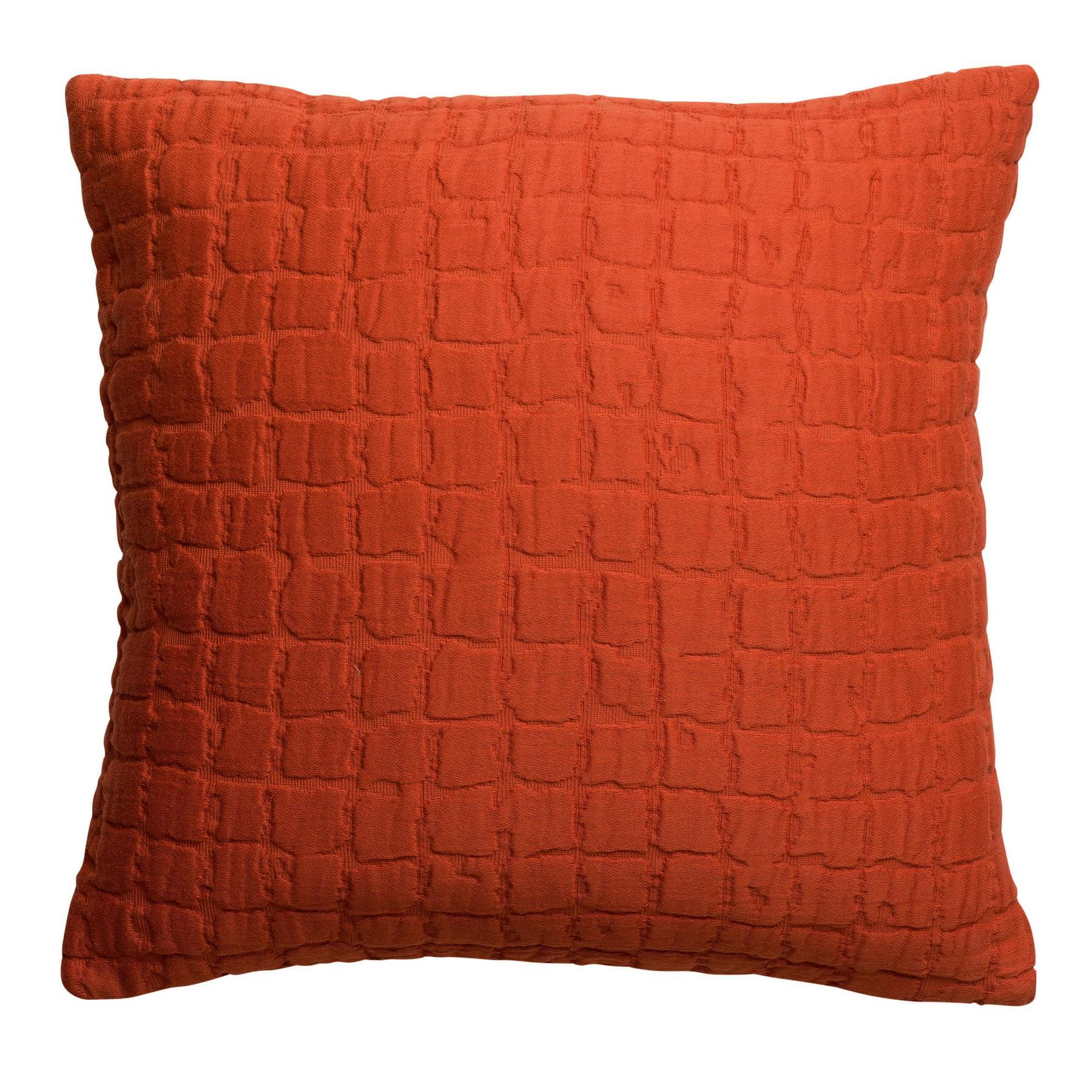 product/v/i/vivaraise_2909036000_0.jpg