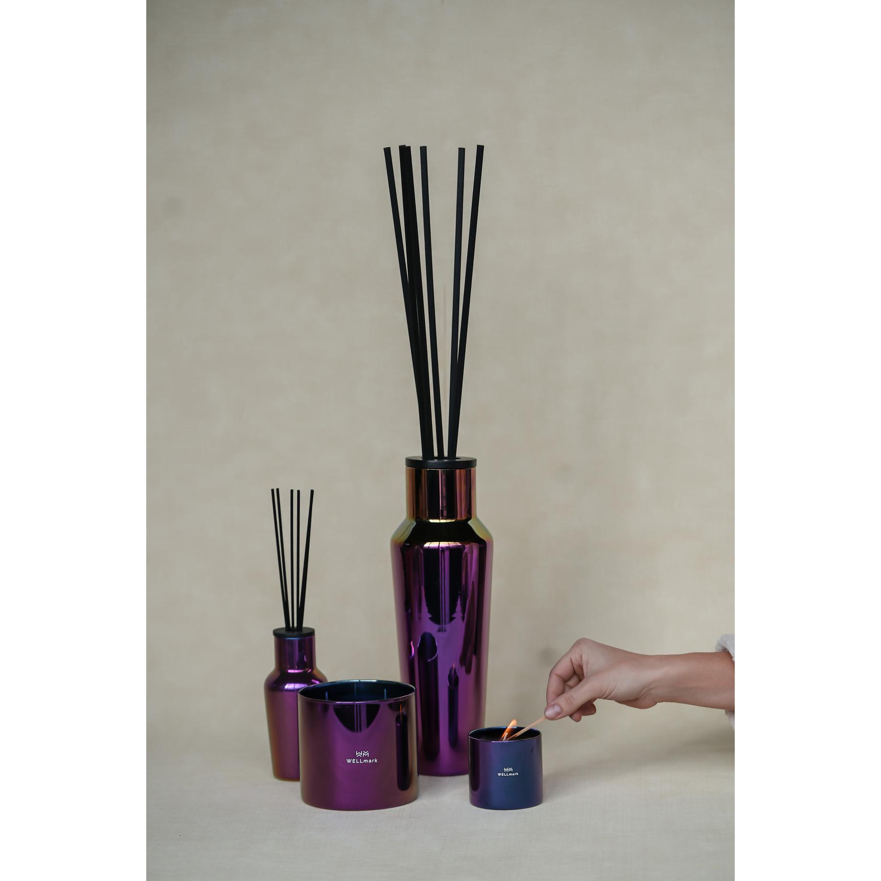 product/w/e/wellmark_8720938454264_1.jpg