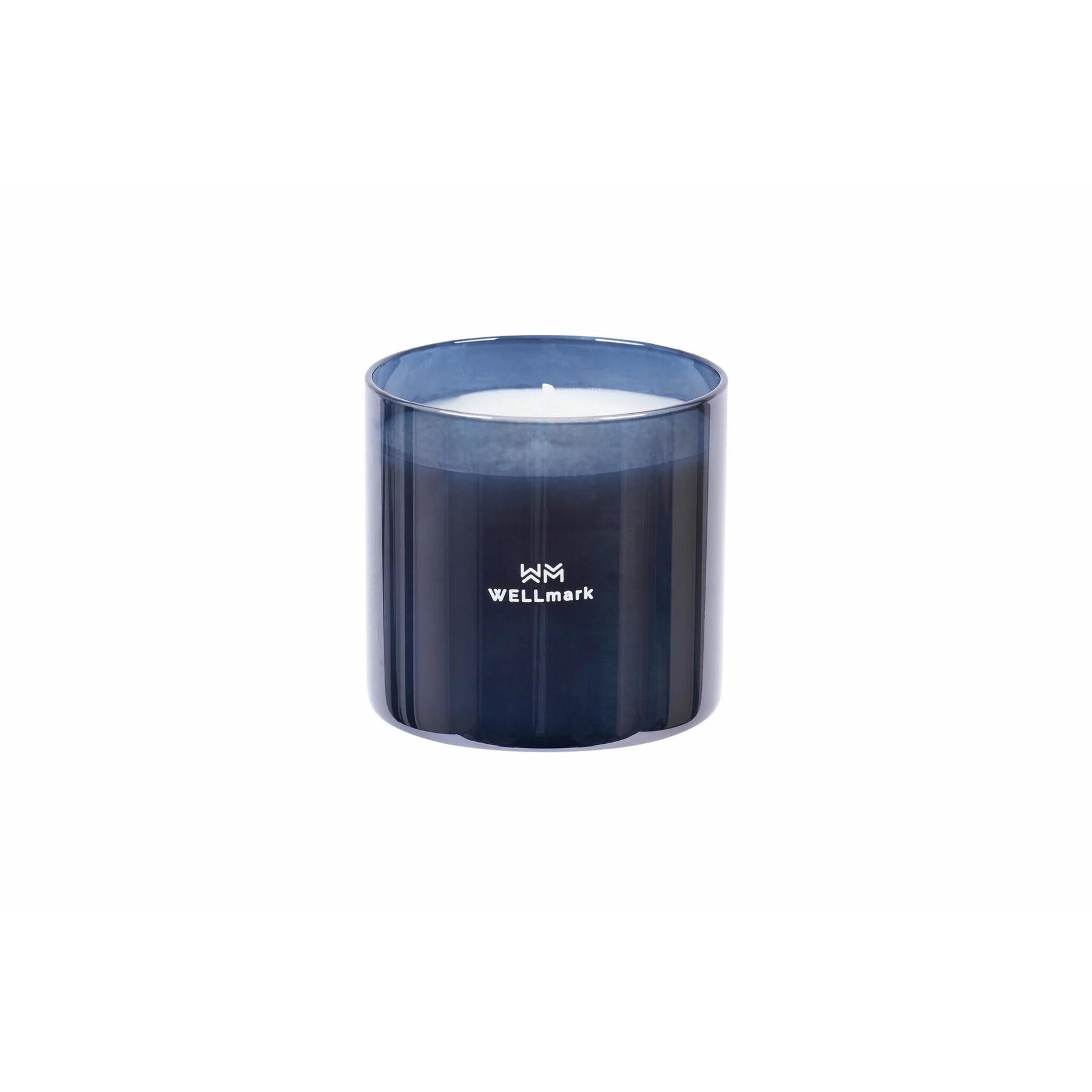 product/w/e/wellmark_8720938454288_0.jpg