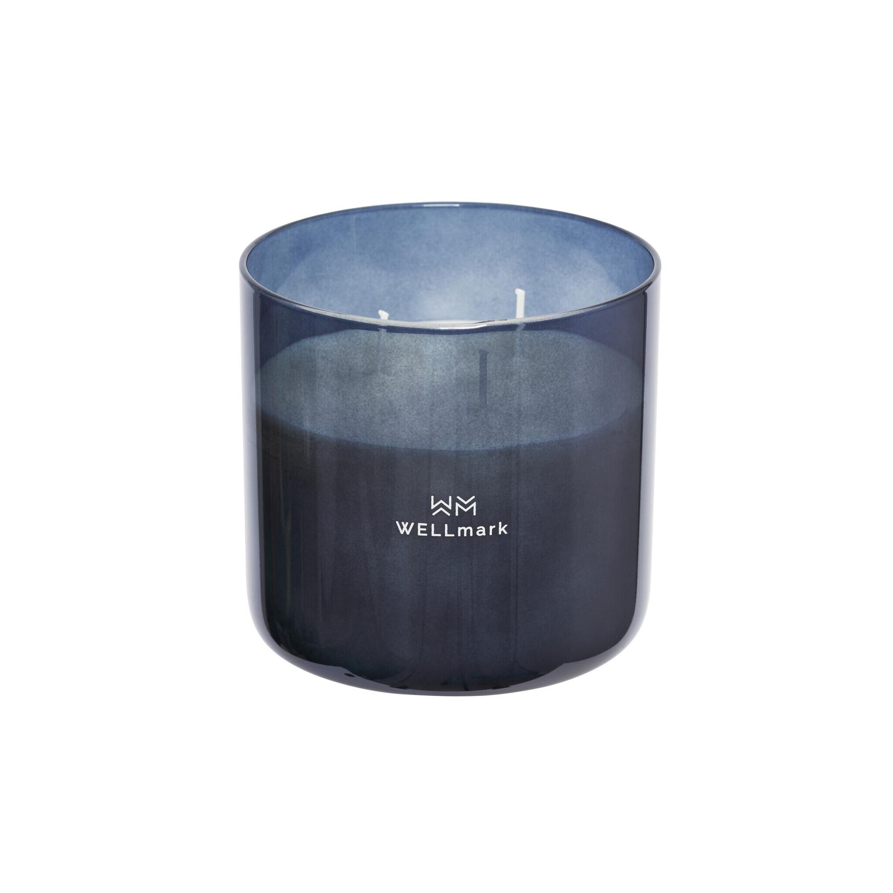 product/w/e/wellmark_8720938454318_0.jpg
