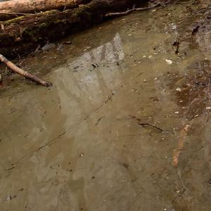 product/a/k/ak-interactive_ak8006_water-gel-swamp-green_3.jpg