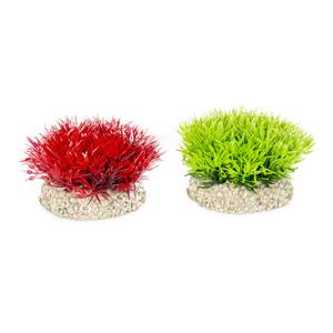 242-457801-decoration-d-aquarium-plante-aqua-della-crystalwort-moss-vert-rouge-5-cm