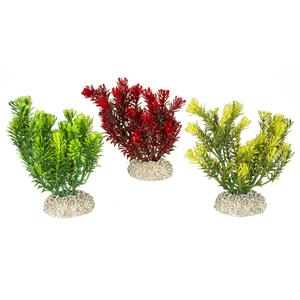 product/a/q/aqua-della_242_458204_vert-jaune-rouge_1.jpg