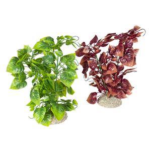 242-458624-decoration-d-aquarium-plante-aqua-della-anubias-nana-vert-marron-25-cm