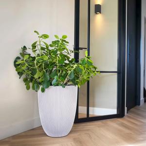 product/c/a/capi_445499_blanc_1.jpg
