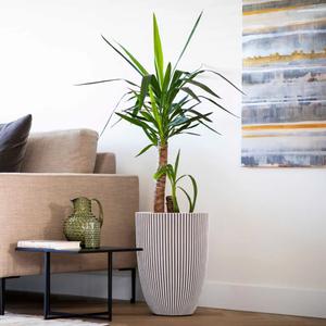 product/c/a/capi_445499_blanc_3.jpg