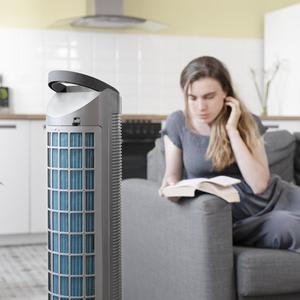 product/c/e/cecotec_05289_gris_3.jpg
