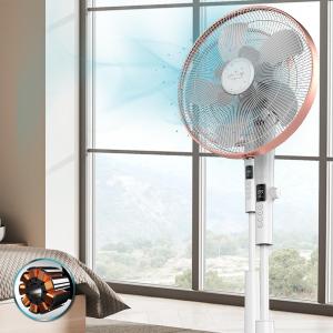 product/c/e/cecotec_05915_blanc-dore_3.jpg