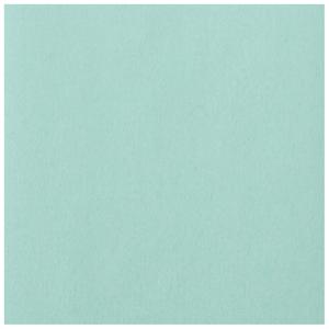 product/c/l/clairefontaine_394027c_bleu-ciel_1.jpg