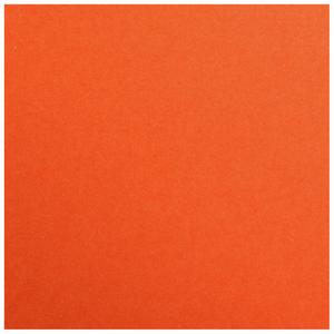 product/c/l/clairefontaine_397255c_orange_2.jpg