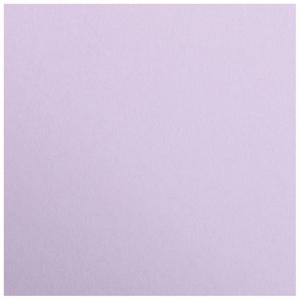 product/c/l/clairefontaine_397277c_lilas_2.jpg