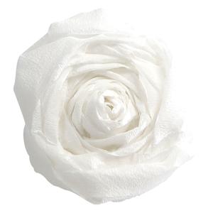 product/c/l/clairefontaine_901001c_blanc_1.jpg