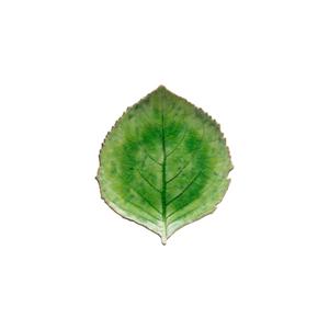 vep221-tmt-assiette-feuille-d-hortensia-costa-nova-riviera-x6-tomate-21-8x19-1x3-3cm