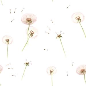 deko-tap-069-papier-peint-bebe-dekornik-dandelions-blanc-280x50-cm