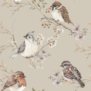 deko-tap-078-papier-peint-bebe-dekornik-birds-green-beige-brown-280x50-cm