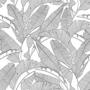 deko-tap-276-papier-peint-bebe-dekornik-classic-big-palm-leaves-grey-280x100-cm