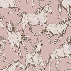 deko-tap-308-papier-peint-bebe-dekornik-horses-pink-salmon-280x100-cm