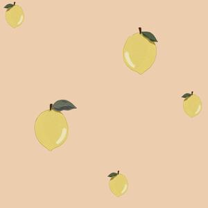 deko-tap-391-papier-peint-bebe-dekornik-little-lemons-salmon-280x50-cm