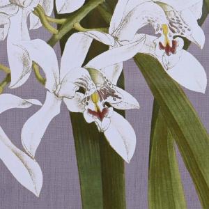 product/d/k/dkd-home-decor_s3038856_blanc-vert-gris_3.jpg