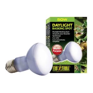 33-pt2131-lampe-pour-terrarium-exo-terra-daylight-basking-spot-50w-blanc-6x6x10-5-cm