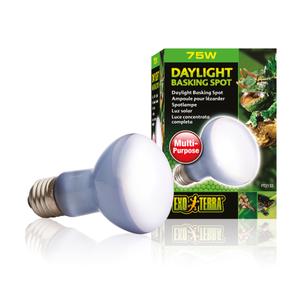 33-pt2132-lampe-pour-terrarium-exo-terra-daylight-basking-spot-75w-blanc-6-5x6-5x10-cm