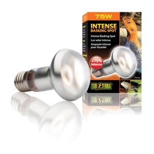33-pt2136-lampe-pour-terrarium-exo-terra-intense-basking-spot-75w-argente-6-5x6-5x10-cm