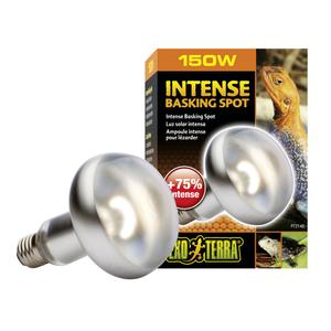 33-pt2140-lampe-pour-terrarium-exo-terra-intense-basking-spot-150w-argente-9-5x9x13-5-cm