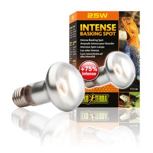 33-pt2196-lampe-pour-terrarium-exo-terra-intense-basking-spot-25w-argente-6-5x6-5x10-cm