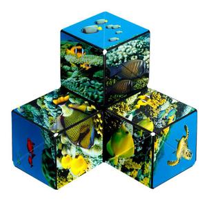 fun004sa-jeu-de-societe-fun-in-motion-toys-shashibo-ocean-multicolore-tu