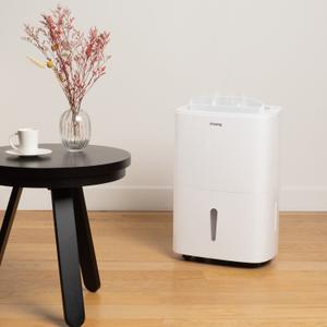 product/h/-/h-koenig_dsh520_blanc_8.jpg