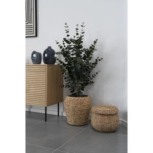product/h/o/house-nordic_9501015_green_2.jpg
