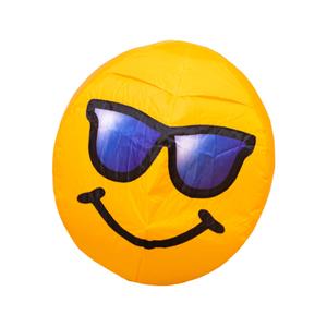product/h/q/hq-kites_hqbmc_jaune-noir_1.jpg