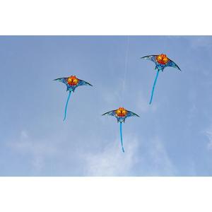 product/h/q/hq-kites_mantak_bleu_2.jpg