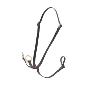 it06253001-martingale-a-anneaux-pour-hobby-horse-lemieux-marron-tu