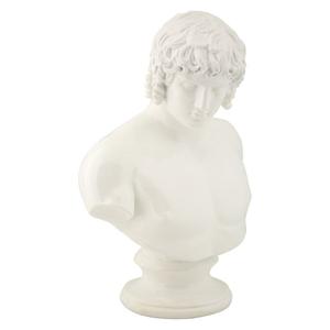 product/m/a/mauro-ferretti_0116390000_white_2.jpg